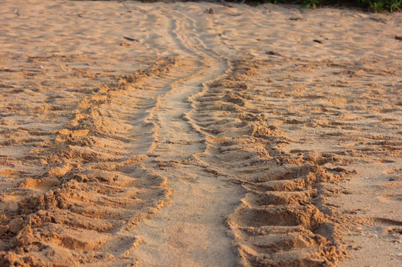 טנגלה Sati Villa Rekawa Beach Sri Lanka מראה חיצוני תמונה